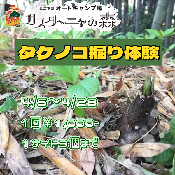 タケノコ掘り体験イベント開催いたします！！！ | カスターニャの森